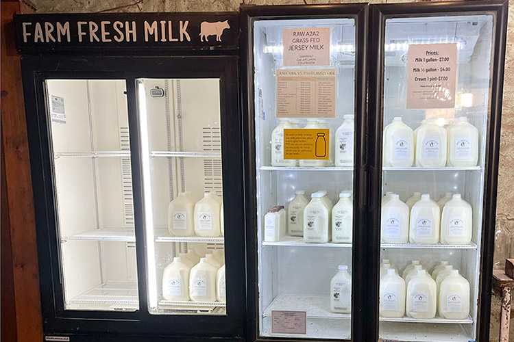 Milk cooler